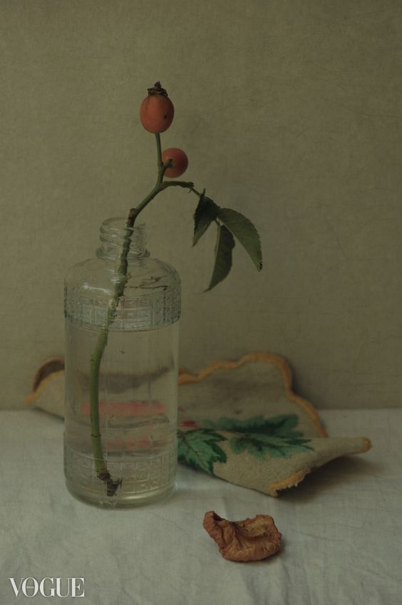 Dans un vase, disposer une branche : un DIY déco facile et pas cher pour décorer une table