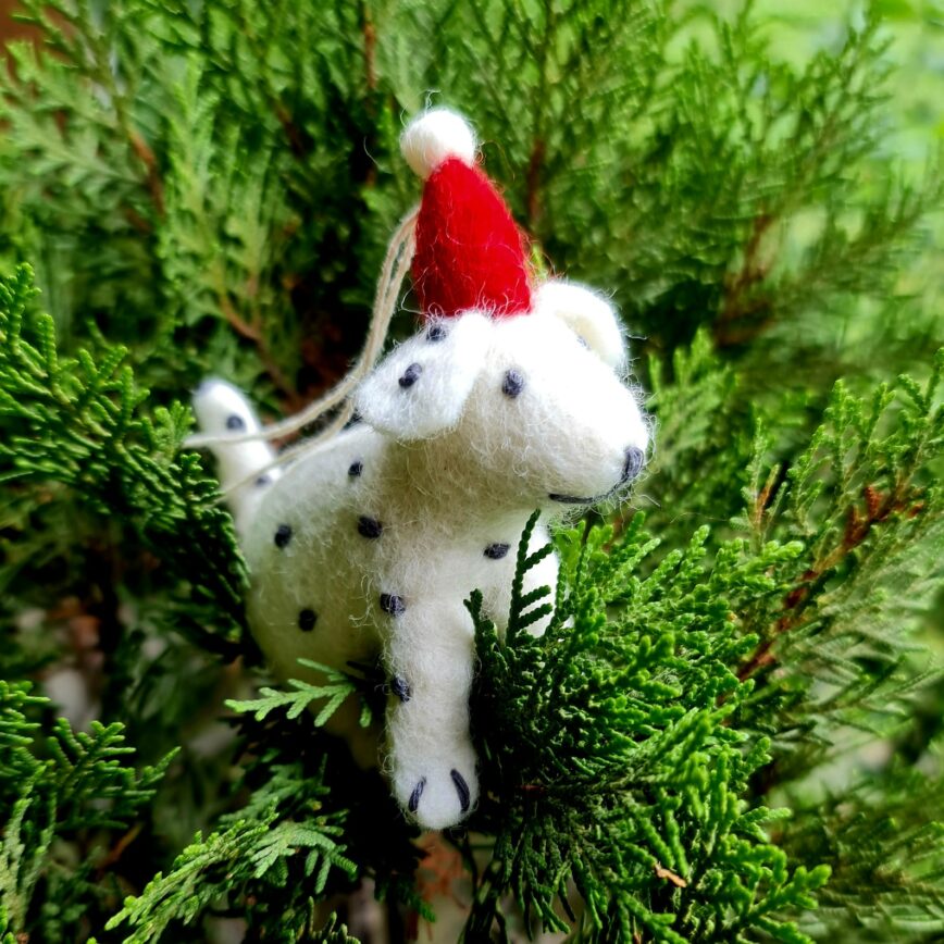 chien dalmatien avec bonnet de noel